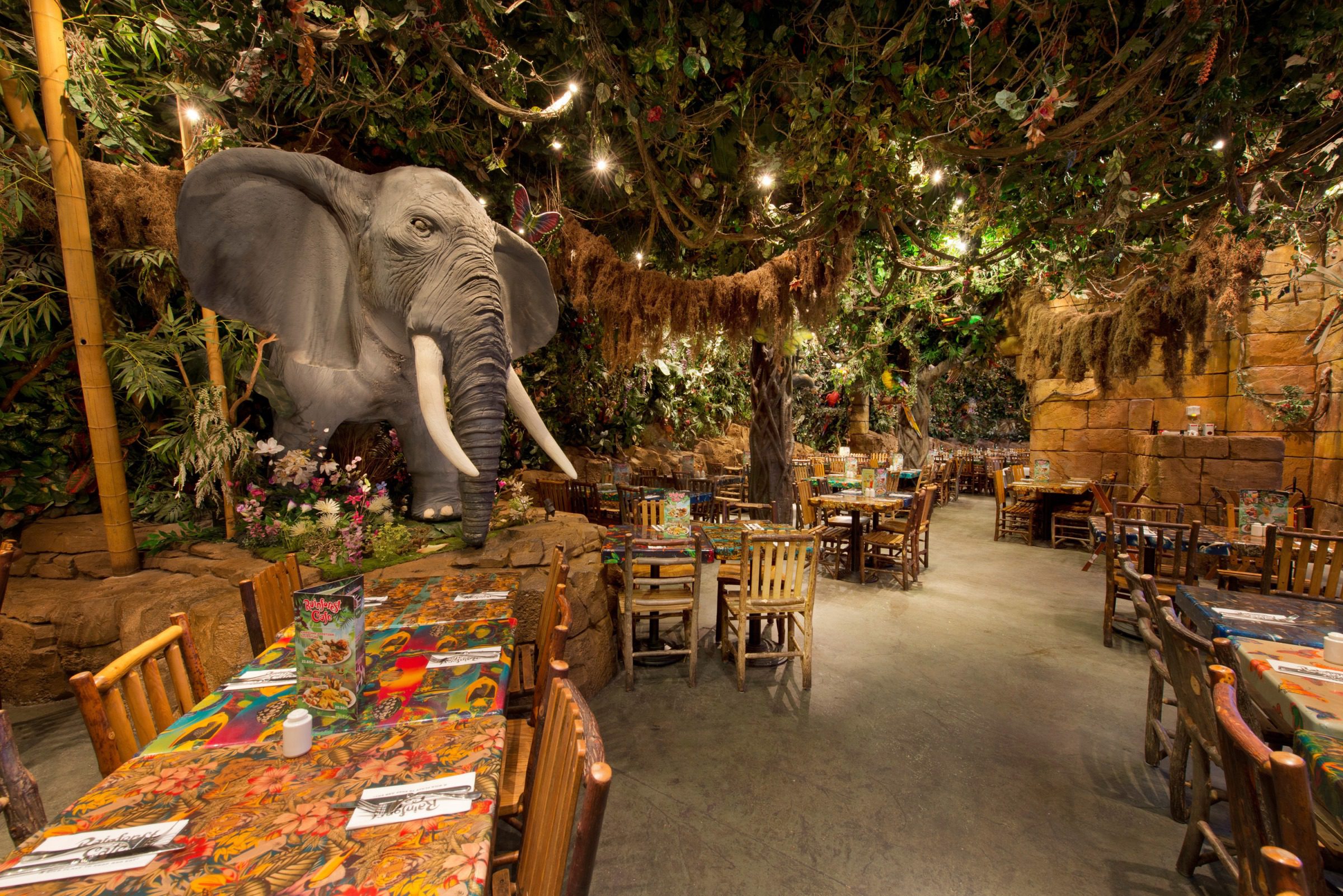 Rainforest Cafe Menu Disneyland Paris Tips Advice Planning Hotel 